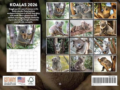 Koala Calendar 2026 Monthly Wall Calender 12 Month | American Made In The USA