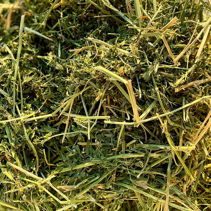 Blue Mountain Hay High-Altitude Hay - Organic Alfalfa, 25lb - High Protein, Fiber & Mineral-Rich - Soft, Leafy, High Leaf Retention - Ideal for Goats, Rabbits, Guinea Pigs & Other Small Animals