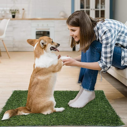 2 Pack Artificial Dog Grass Pee Pad 20"x 25", Fake Grass Pad for Dogs Tray | Easy to Clean, Replacement Turf Mat, Washable, Reusable, Realistic, Indoor Puppy Potty Training, for Apartment, Balcony Use