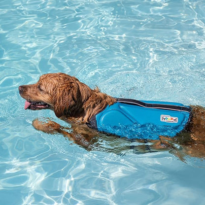 Outward Hound Dawson Swim Dog Life Jacket, High-Performance Neoprene Dog Life Vest for Swimming, Boating, and Water Safety, Small, Blue