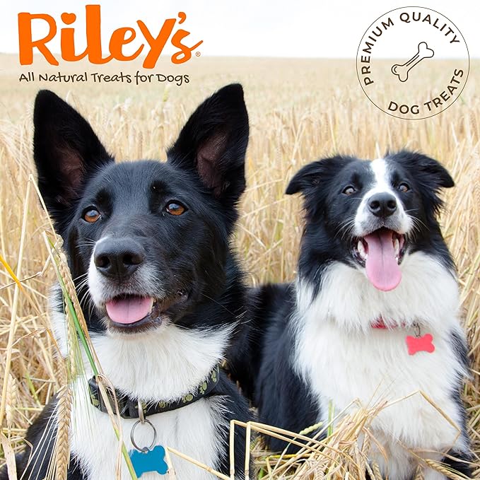 Riley's Steer Bully Sticks for Small to Medium Dogs - Single Ingredient Dog Treat, Easily Digestible, 100% Beef Pizzle Sticks - 5-6", 12ct