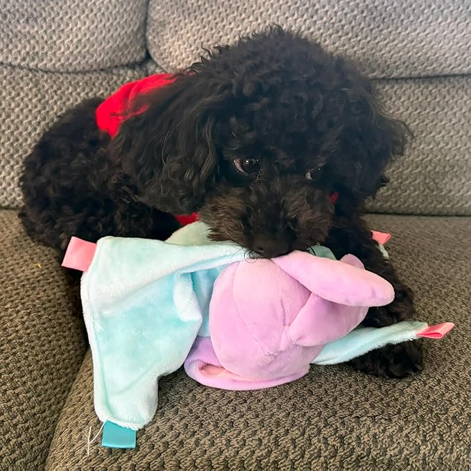 SPOT Soothers - Blanket - Soft and Cuddly Dog & Puppy Toy with Lavender Scented Beads to Calm and Relax Your Pet, Provides Separation Anxiety Relief Due to Travel, Thunder and Loud Noises