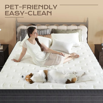 14 Inch Cal King Hybrid Mattress, Medium-Firm, Pressure Relief & Motion Isolation Memory Foam w/Pocket Springs, Cooling, Hypoallergenic, Ideal for Back Pain, Side Sleepers, Plus-Size Sleepers