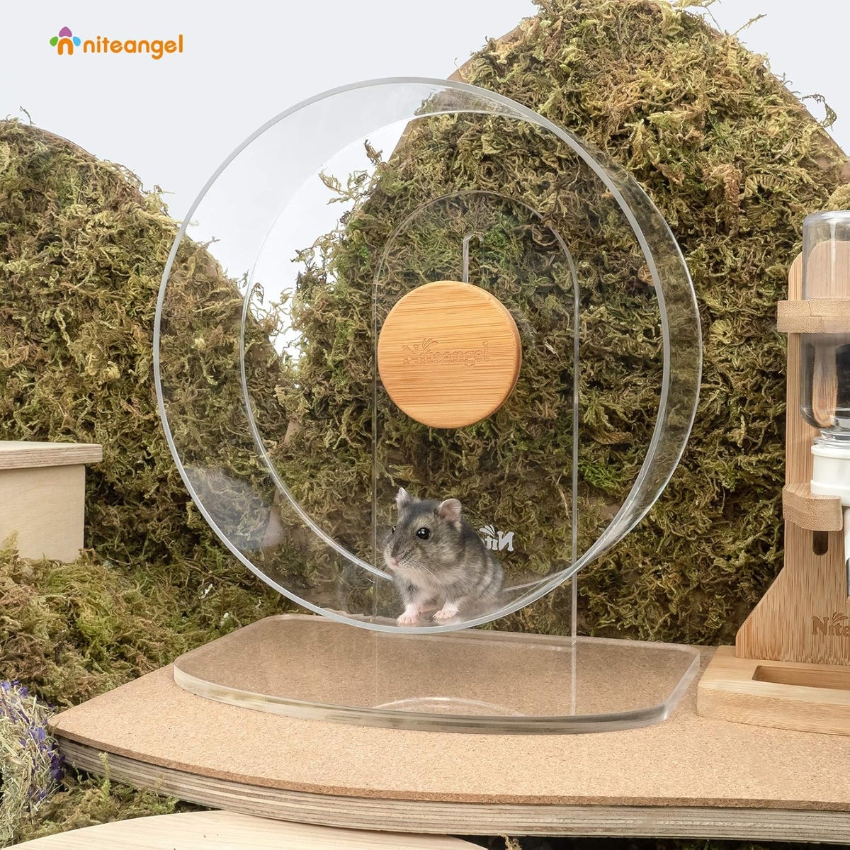 Niteangel Silent Hamster Exercise Wheel: - Dual-Bearing Quiet Spinning Acrylic Hamster Running Wheel for Dwarf Hamster Gerbils Mice Degus Or Other Small Animals (S)