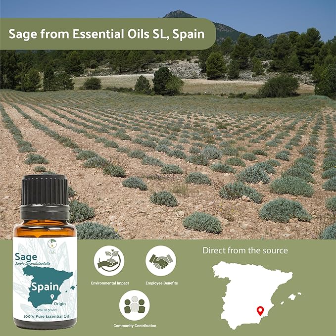 Sage Essential Oil