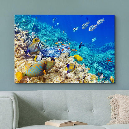 wall26 Canvas Print Wall Art Underwater Neon Blue Teal Ocean Water Fish Nature Animals Photography Realism Rustic Scenic Landscape Wilderness Earth for Living Room, Bedroom, Office - 32"x48"