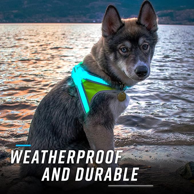 noxgear LightHound Light Up Reflective Dog Harness and Wrist Light, Large | 360° Light Up Reflective Dog Harness, 8 Colors & 6 Modes, USB Rechargeable, Adjustable, Rainproof, LED Fiber Optic