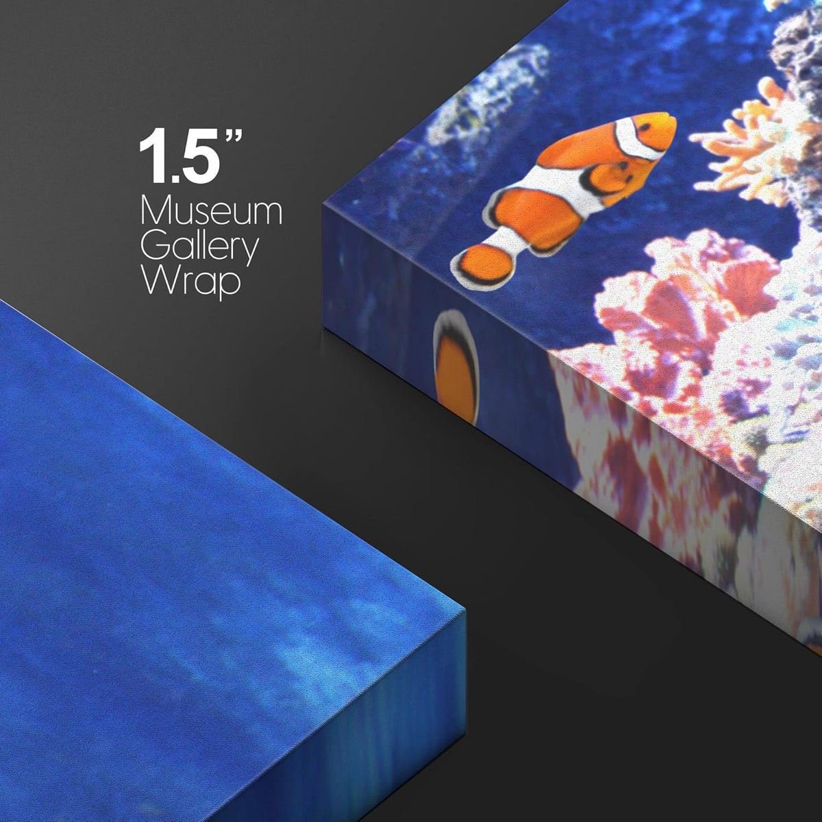 wall26 Canvas Print Wall Art Clownfish Underwater Tropical Coral Reef Nature Animals Photography Realism Rustic Scenic Landscape Wilderness Earth Colorful for Living Room, Bedroom, Office - 12"x18"