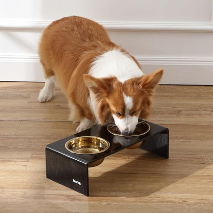 DBL2000B Keaton 5" Small/Medium Modern Lucite Rectangular Elevated Pet Feeder with 20oz 2-Stainless Steel Bowls, Black/Gold