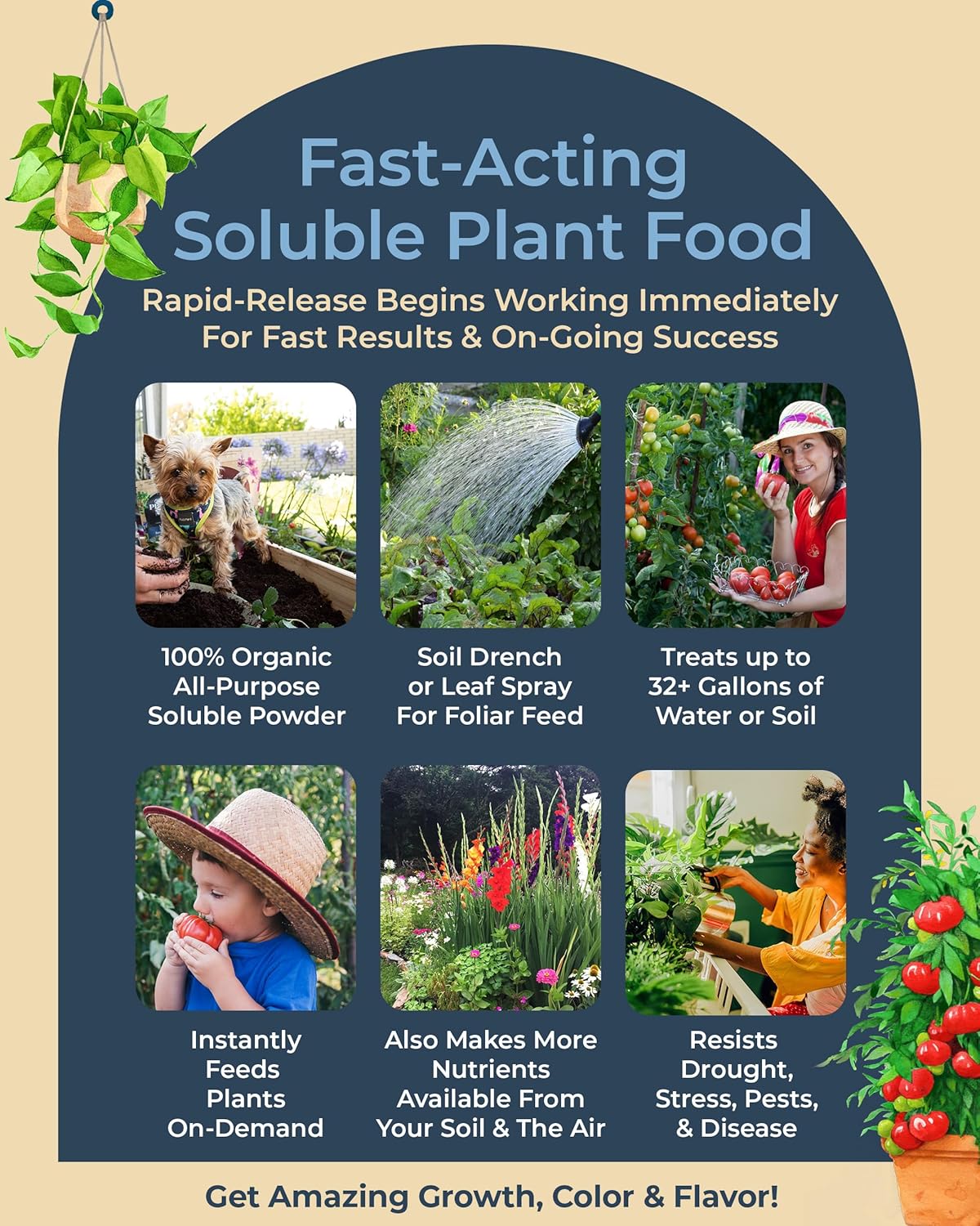 Organic Plant Magic - Truly Organic™ Fast-Acting Water Soluble Plant Food - All-Purpose Fertilizer Concentrate for Flower, Vegetable, Herb, Fruit Tree, Garden & Indoor Houseplants [One 1/2 lb Bag]