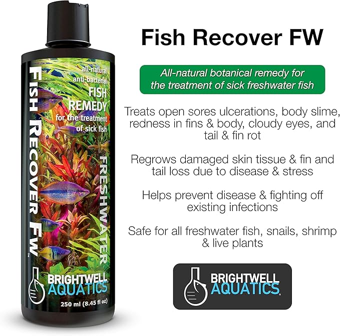 Brightwell Aquatics Brightwell Fish Recover FW - All-Natural Fish Remedy for Treating Sick Freshwater Fish, 500 ml