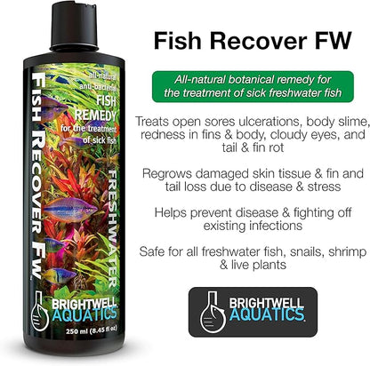 Brightwell Aquatics Brightwell Fish Recover FW - All-Natural Fish Remedy for Treating Sick Freshwater Fish, 500 ml