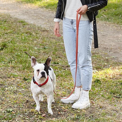 Dogline Biothane Waterproof Dog Leash Strong Coated Nylon Webbing with Black Hardware Odor-Proof Easy to Clean High Performance for Small or Large Dogs Made in USA 4 or 6 ft Lead, Coral