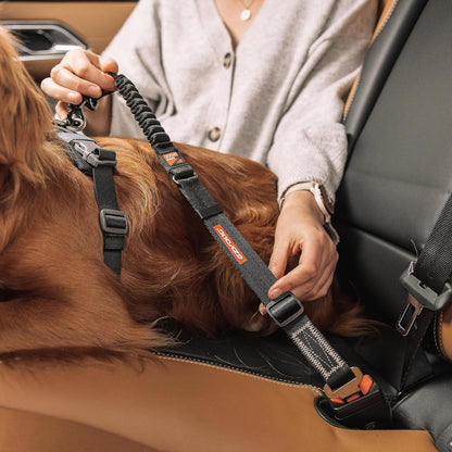 EzyDog Zero Shock Click - Shock Absorbing Dog Seat Belt Car Harness Attachment for Dogs - Adjustable Dog Restraints Seatbelts for Car Travel and Safety - (20in - 26in, Black)