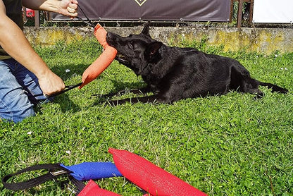 Dingo Gear French Linen tug Toy for Dog, Bumper Toy for Training, Agility, tug of war, bite Pillow for Strong Dog, 2handles 18in Blue S00067
