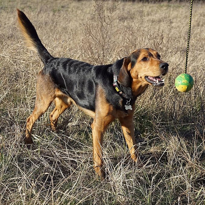 Dingo Fetch Ball Made of Hard Rubber with a String, Large, for Aport Game Dog Training 17298