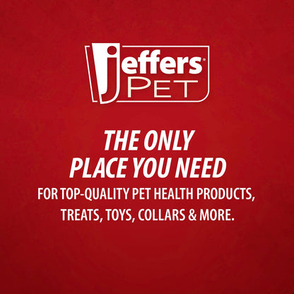 Jeffers Red Millipede Natural Rubber Treat Dispensing Dental Dog Chew Toy