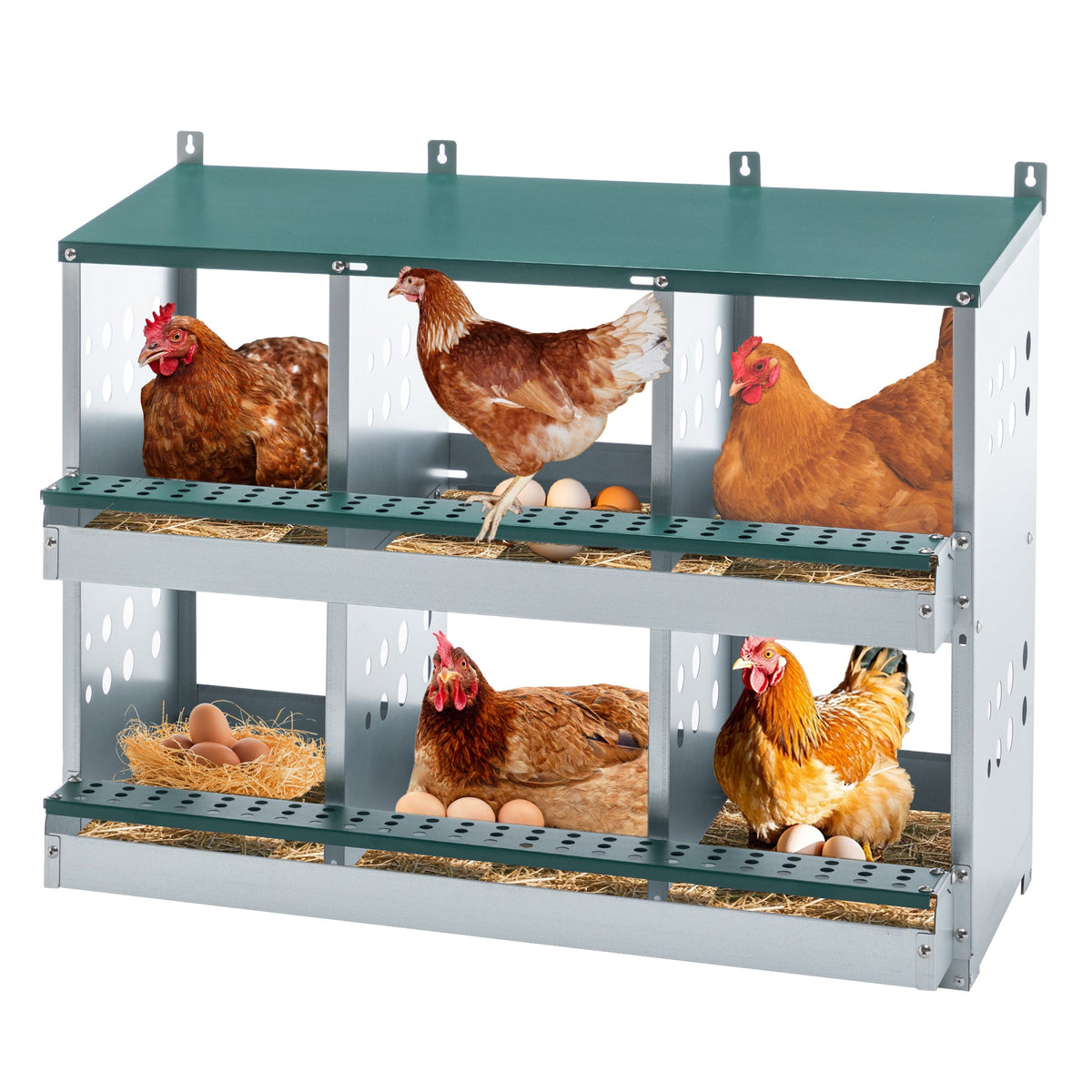 6 Compartments Chicken Nesting Box For Laying Eggs, Roll Away Chicken Laying Boxes, Green