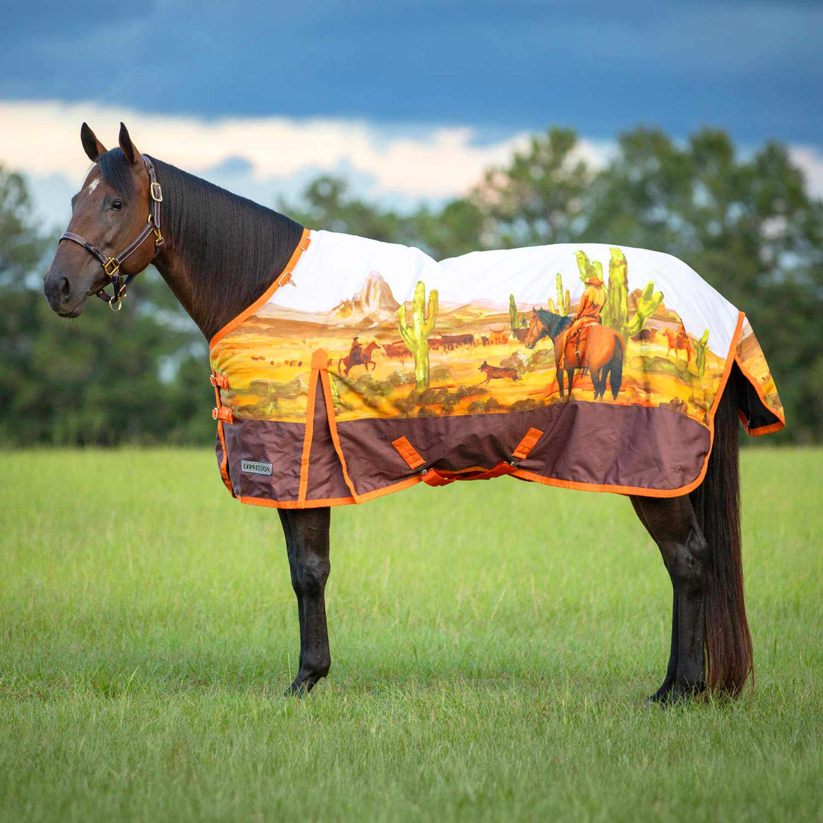 Jeffers Expression 1200 Denier Standard Neck Horse Turnout Sheet, 0 Gram