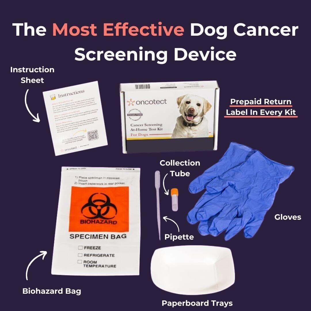 Oncotect Essential At-Home Dog Cancer Screening Test Kit